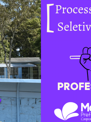 Flayer Processo Seletivo Professores