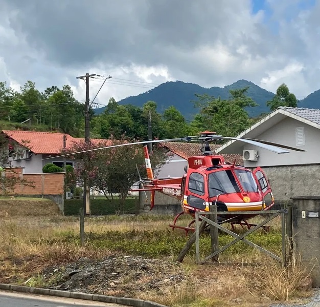 Idoso Atacado Por Abelhas Enquanto Limpava Terreno E Sofre Choque