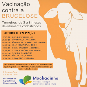 feed Vacinação Brucelose