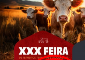 xxx feira